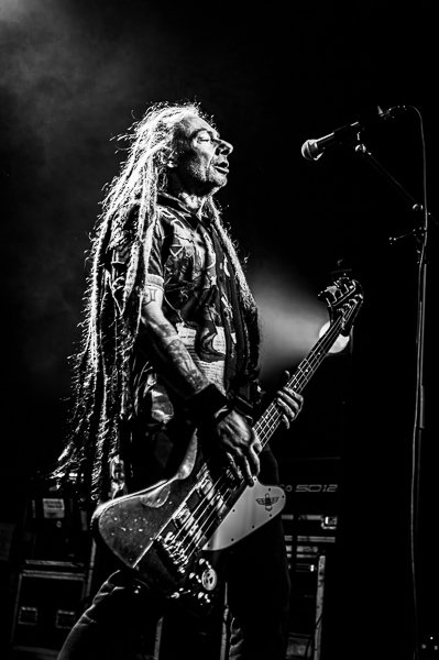 The Levellers