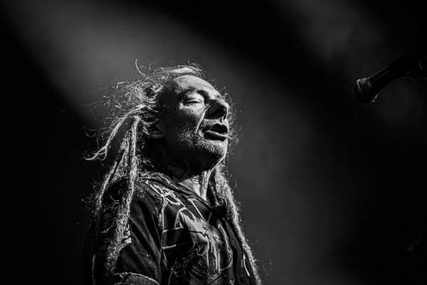 The Levellers